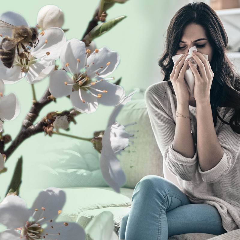 AirgoClean® 15 E - contro gli allergeni