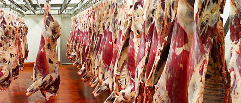 Deumidificazione nell'industria della carne-Trotec